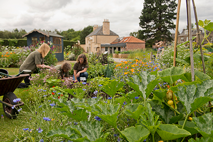 Topic: Welcome To Careers In Horticulture | Careers In Horticulture ...